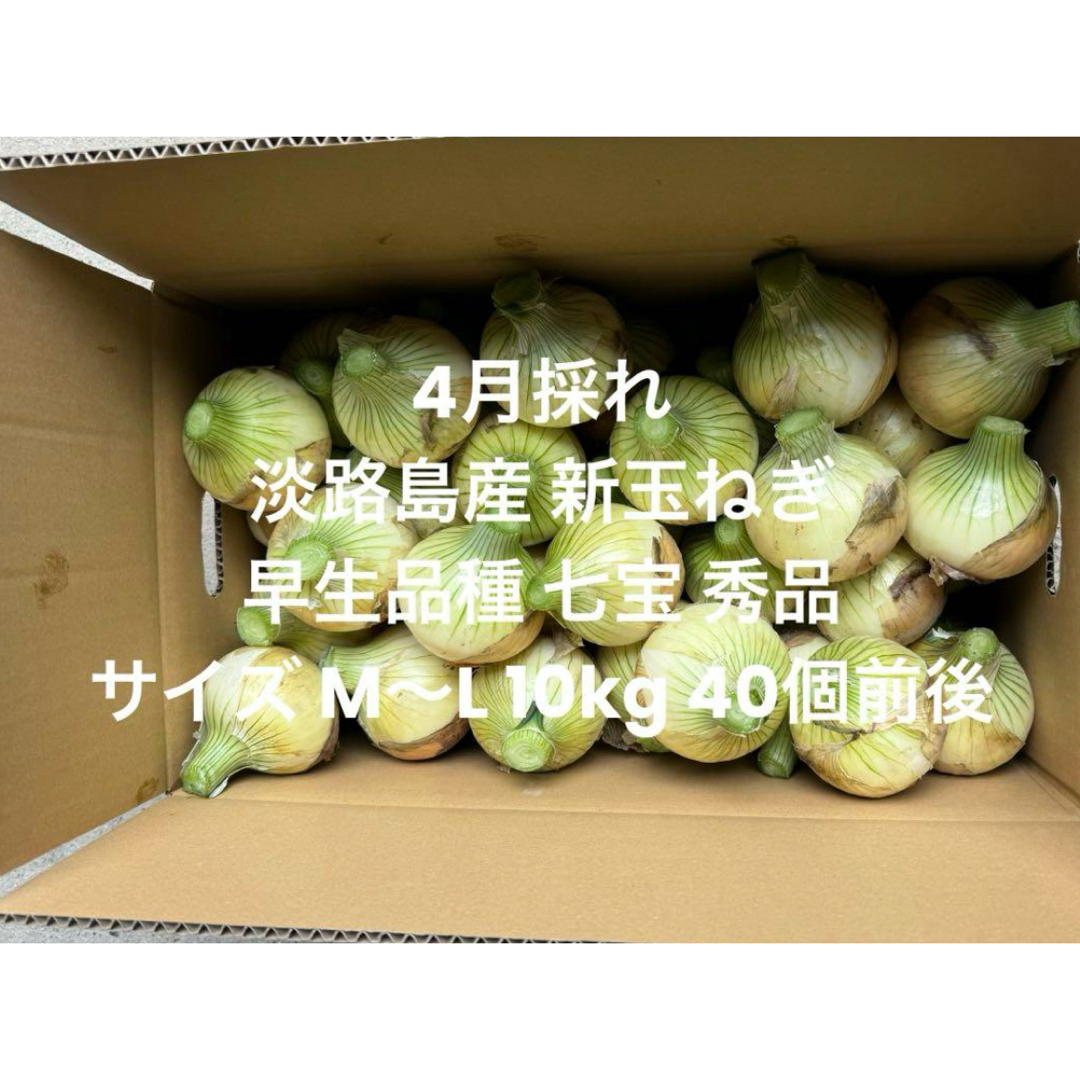 淡路島産 4月採れ 新玉ねぎ M~L 秀品 10kg 早生品種 七宝 40個 淡路島産 4月採れ 新玉ねぎ M~L 秀品 10kg 早生品種 七宝 40個