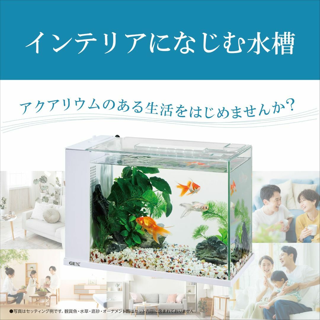 赤字覚悟】ジェックス GEX アワーズホワイト アクアリウム用 赤字覚悟】ジェックス GEX アワーズホワイト アクアリウム用