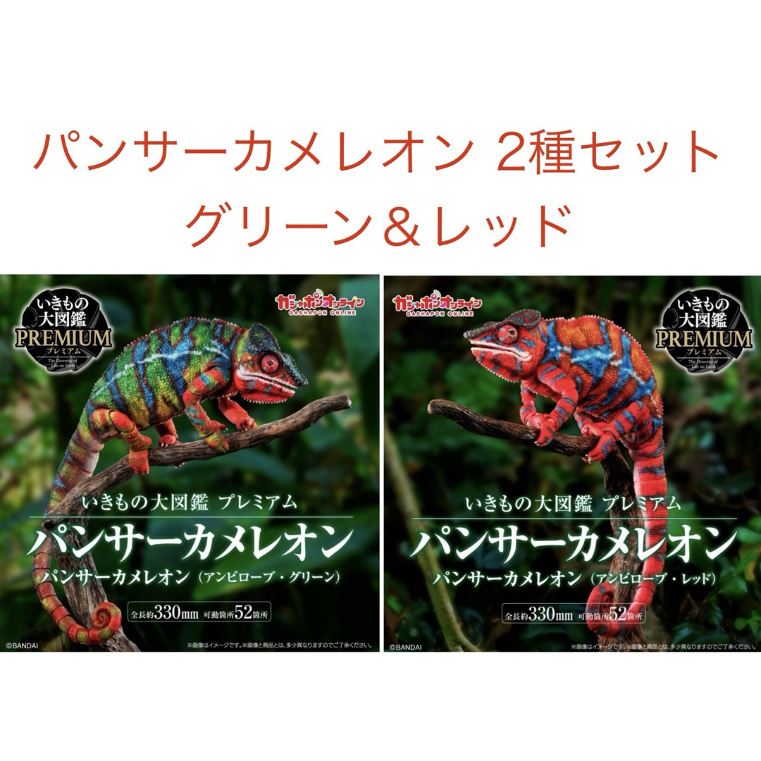 BANDAI - いきもの大図鑑プレミアム パンサーカメレオン BANDAI - いきもの大図鑑プレミアム パンサーカメレオン