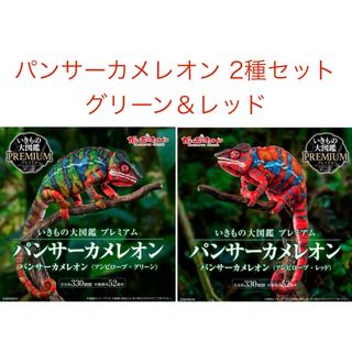BANDAI - いきもの大図鑑プレミアム パンサーカメレオン BANDAI - いきもの大図鑑プレミアム パンサーカメレオン