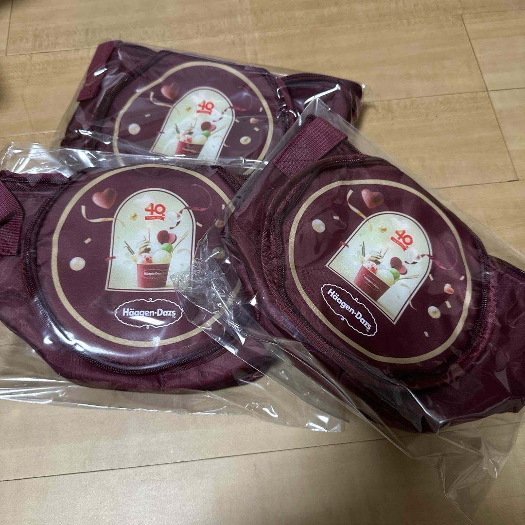 Haagen-Dazs(ハーゲンダッツ)のHäagen-Dazs アイスクリーム 40周年記念 バッグ 3個セット エンタメ/ホビーのコレクション(ノベルティグッズ)の商品写真