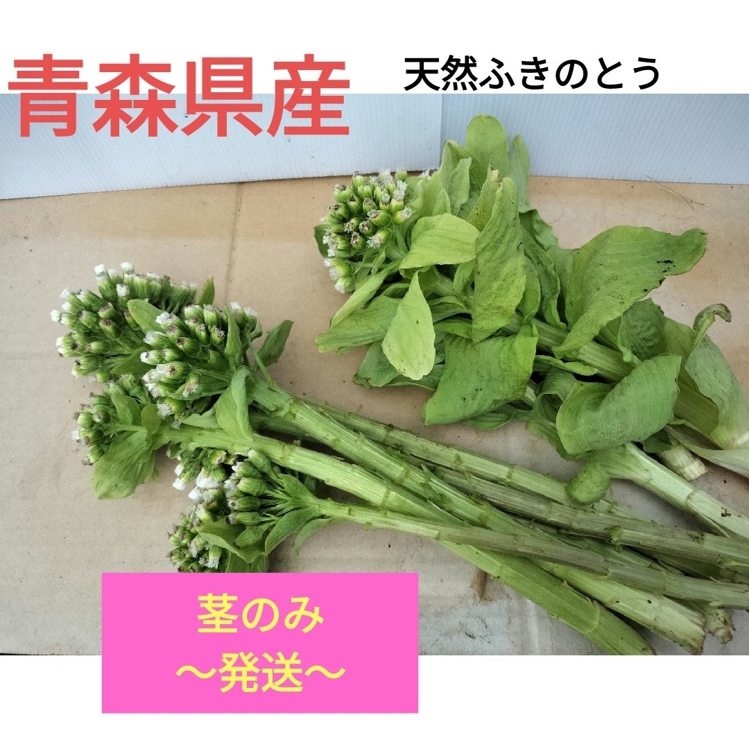 天然ふきのとう 茎【青森県産】の通販 by ルンルン's shop|ラクマ 天然ふきのとう 茎【青森県産】の通販 by ルンルン's shop|ラクマ