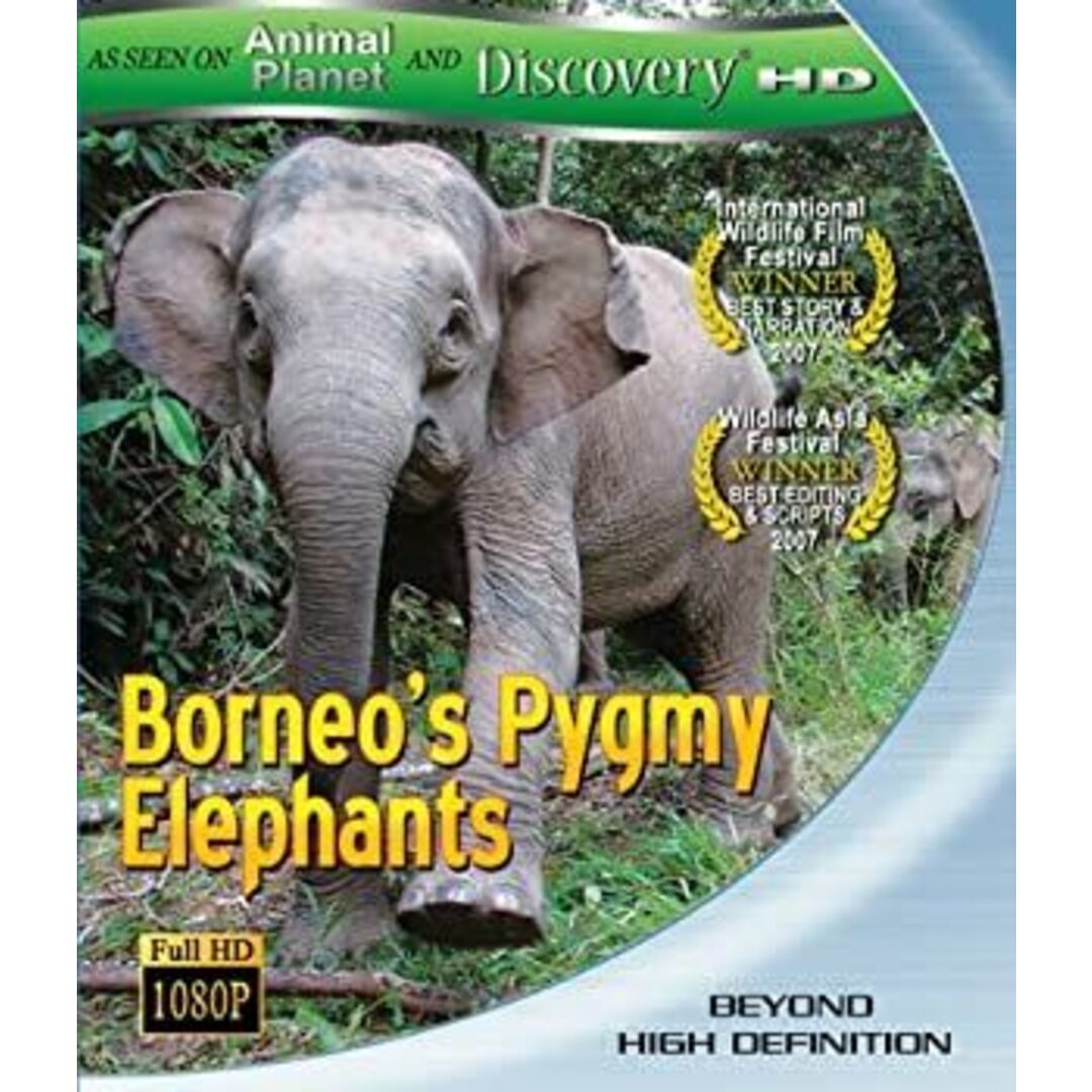 その他 Borneos Pygmy Elephants [Blu-ray]