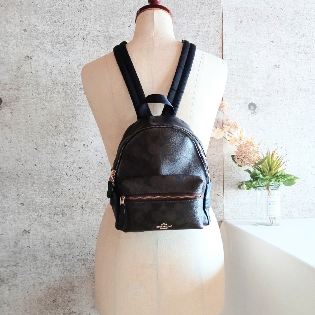 COACH - 美品 コーチ レザー ミニリュック デイパック バッグ 鞄 COACH - 美品 コーチ レザー ミニリュック デイパック バッグ 鞄