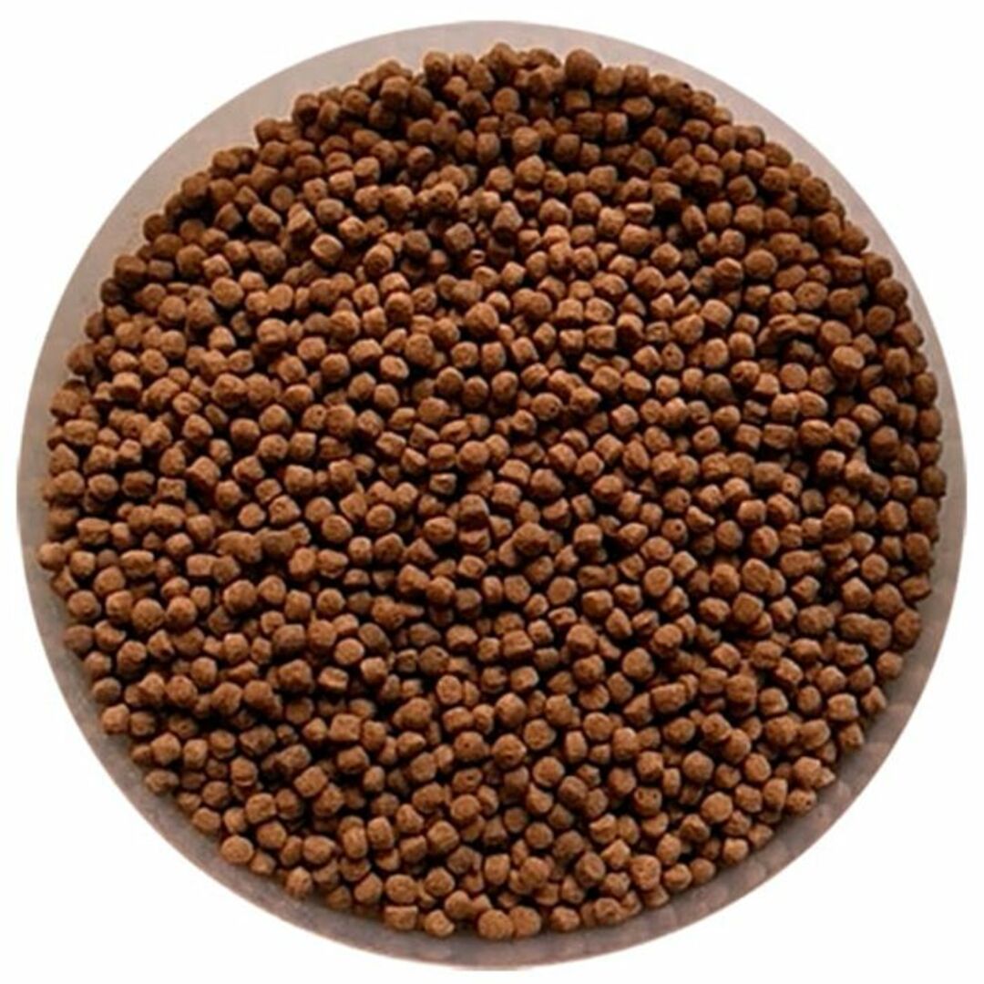 日清丸紅飼料おとひめEP2(1.9~2.3mm)200g さかなのごはんの通販 日清丸紅飼料おとひめEP2(1.9~2.3mm)200g さかなのごはんの通販