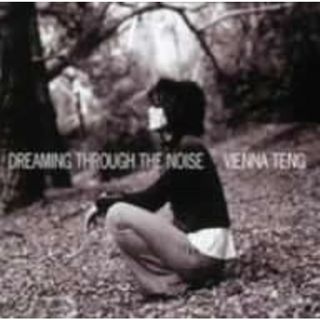 CD Vienna Teng Dreaming Through The Noise UCCM1105PROMO  プロモ /00110(ポップス/ロック(洋楽))