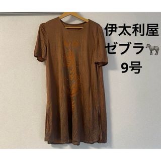 伊太利屋 - 伊太利屋 ゼブラプリント 半袖ワンピース 9号の通販 伊太利屋 - 伊太利屋 ゼブラプリント 半袖ワンピース 9号の通販