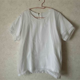 COMME des GARCONS(シャツ/ブラウス(半袖/袖なし))のフリマ COMME des GARCONS(シャツ/ブラウス(半袖/袖なし))のフリマ