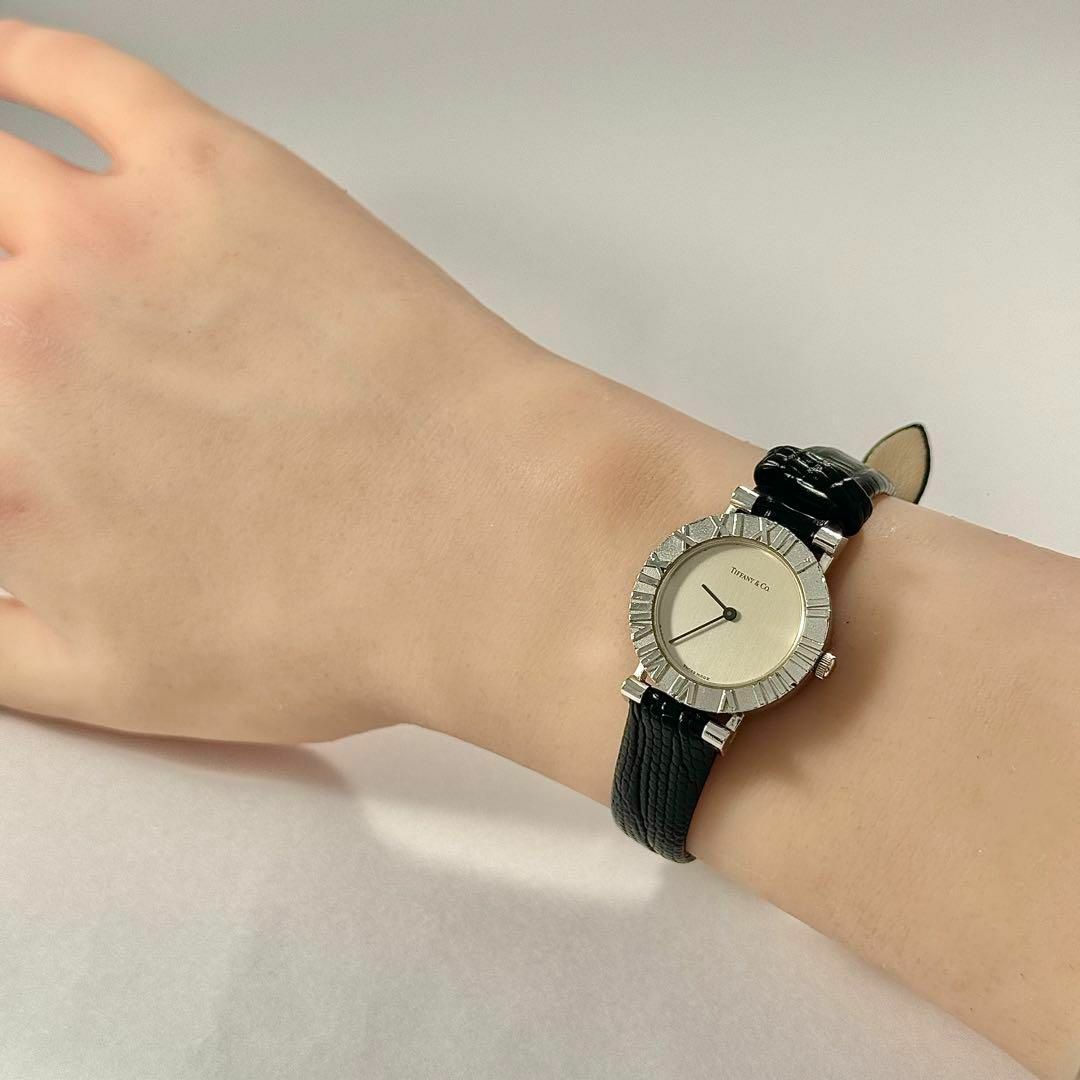 Tiffany & Co. - ☆新品ベルト☆663 ティファニー アトラス 箱 Tiffany & Co. - ☆新品ベルト☆663 ティファニー アトラス 箱
