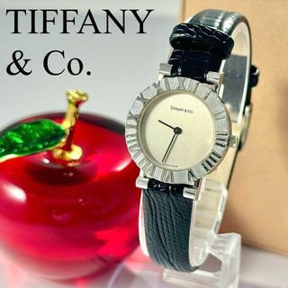 Tiffany & Co. - ☆新品ベルト☆663 ティファニー アトラス 箱 Tiffany & Co. - ☆新品ベルト☆663 ティファニー アトラス 箱