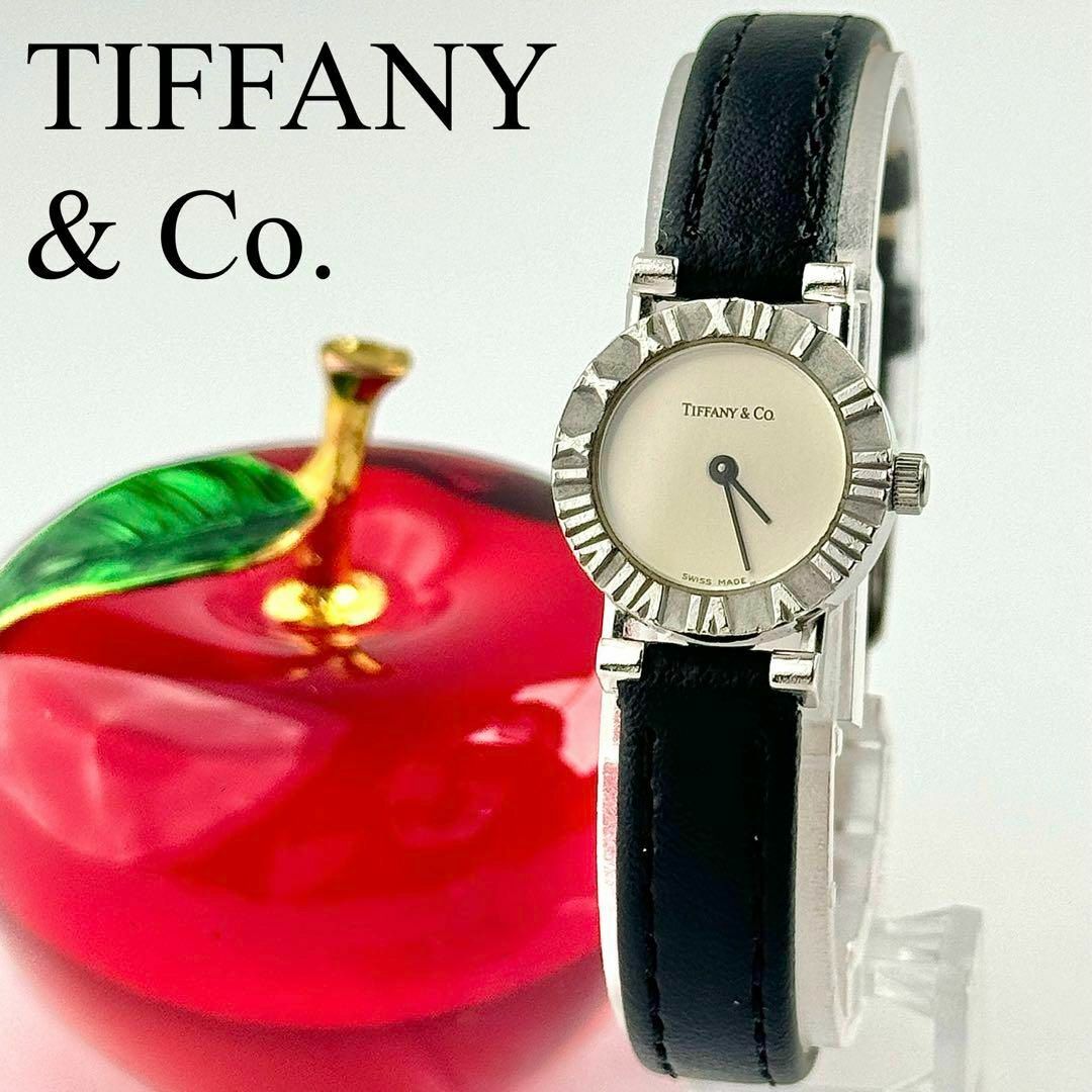 Tiffany & Co. - ☆新品ベルト☆674 ティファニー アトラス Tiffany & Co. - ☆新品ベルト☆674 ティファニー アトラス