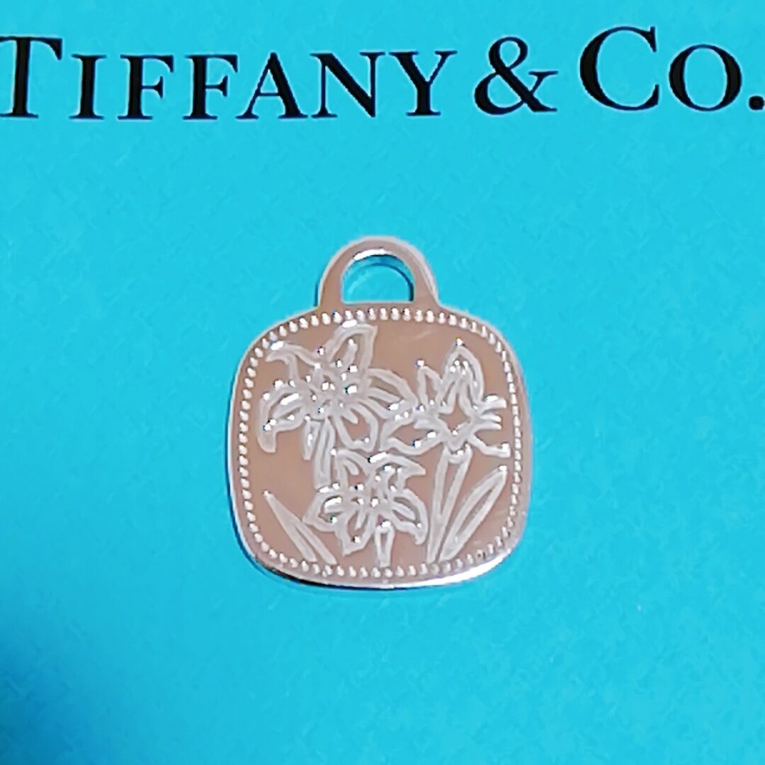 Tiffany & Co. - ティファニーネックレスのチャームのみ 2014 Tiffany & Co. - ティファニーネックレスのチャームのみ 2014
