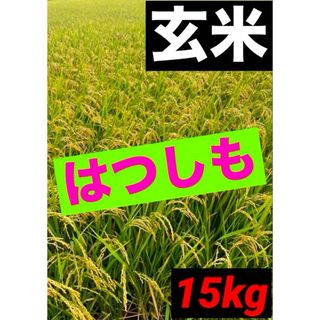 令和6年 新米 コシヒカリ 玄米30kg(白米27キロ)埼玉北川辺産 令和6年 新米 コシヒカリ 玄米30kg(白米27キロ)埼玉北川辺産