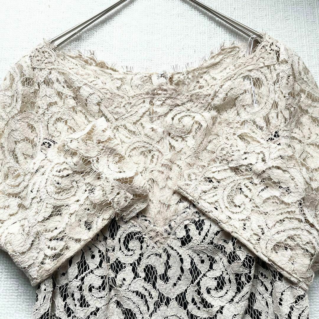TADASHI SHOJI - 【極美品】タダシショージ 高級 総レースロング TADASHI SHOJI - 【極美品】タダシショージ 高級 総レースロング