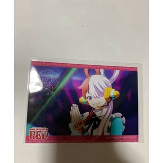 ONE PIECE - ステューシー 生ブロマイド ジャンプフェスタ2025 ONE PIECE - ステューシー 生ブロマイド ジャンプフェスタ2025