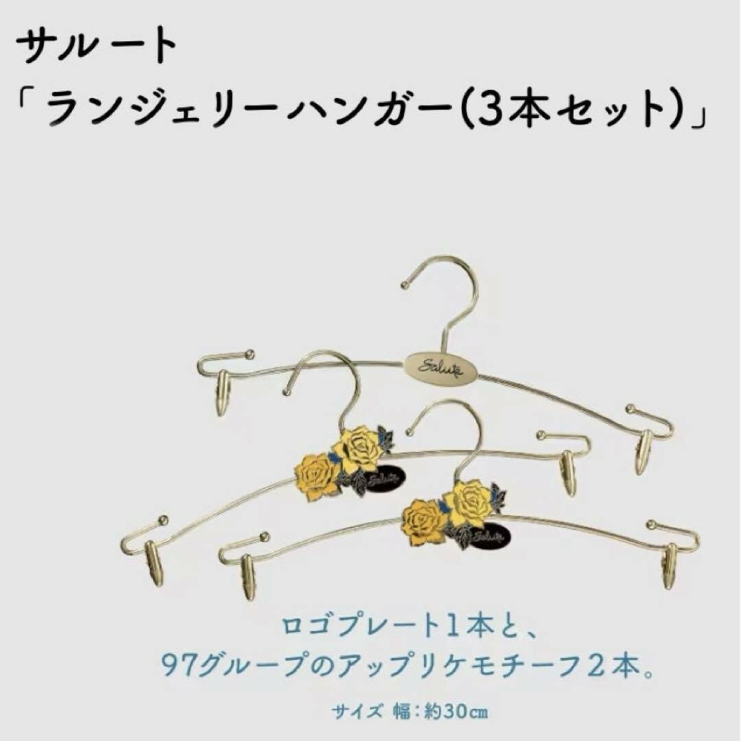 Wacoal - salute サルート 店舗限定 ハンガー 非売品 ノベルティ Wacoal - salute サルート 店舗限定 ハンガー 非売品 ノベルティ