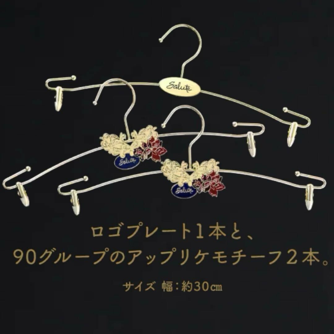 Wacoal - salute サルート 店舗限定 ハンガー 非売品 ノベルティ Wacoal - salute サルート 店舗限定 ハンガー 非売品 ノベルティ