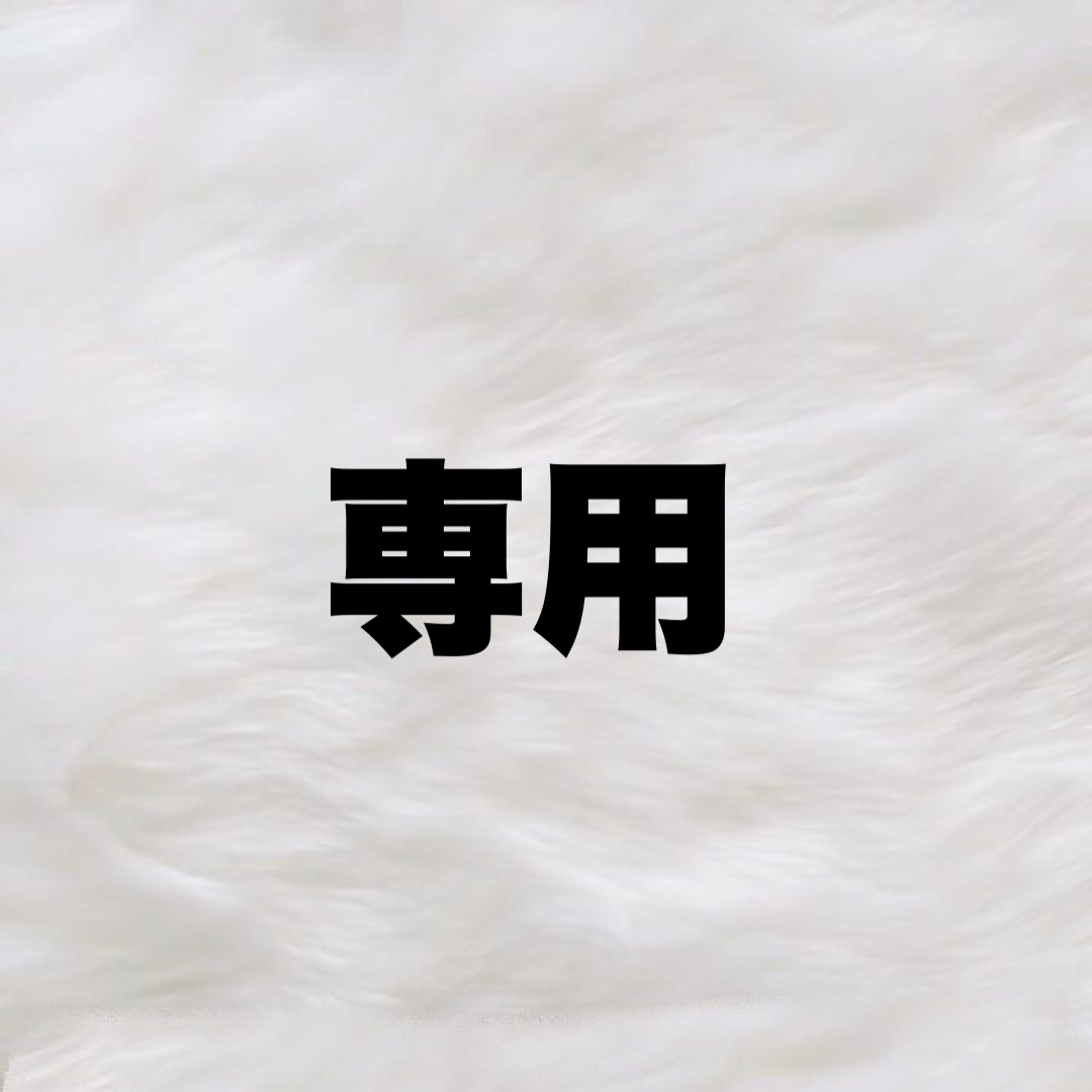 専用 その他のその他(その他)の商品写真