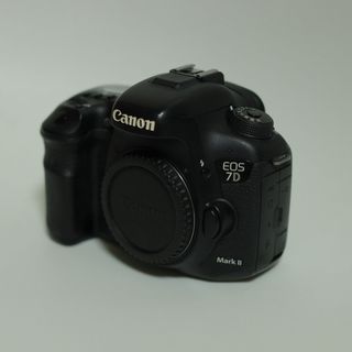 Canon - Canon製 デジタル一眼レフカメラ EOS-1D X ボディ 端子 Canon - Canon製 デジタル一眼レフカメラ EOS-1D X ボディ 端子
