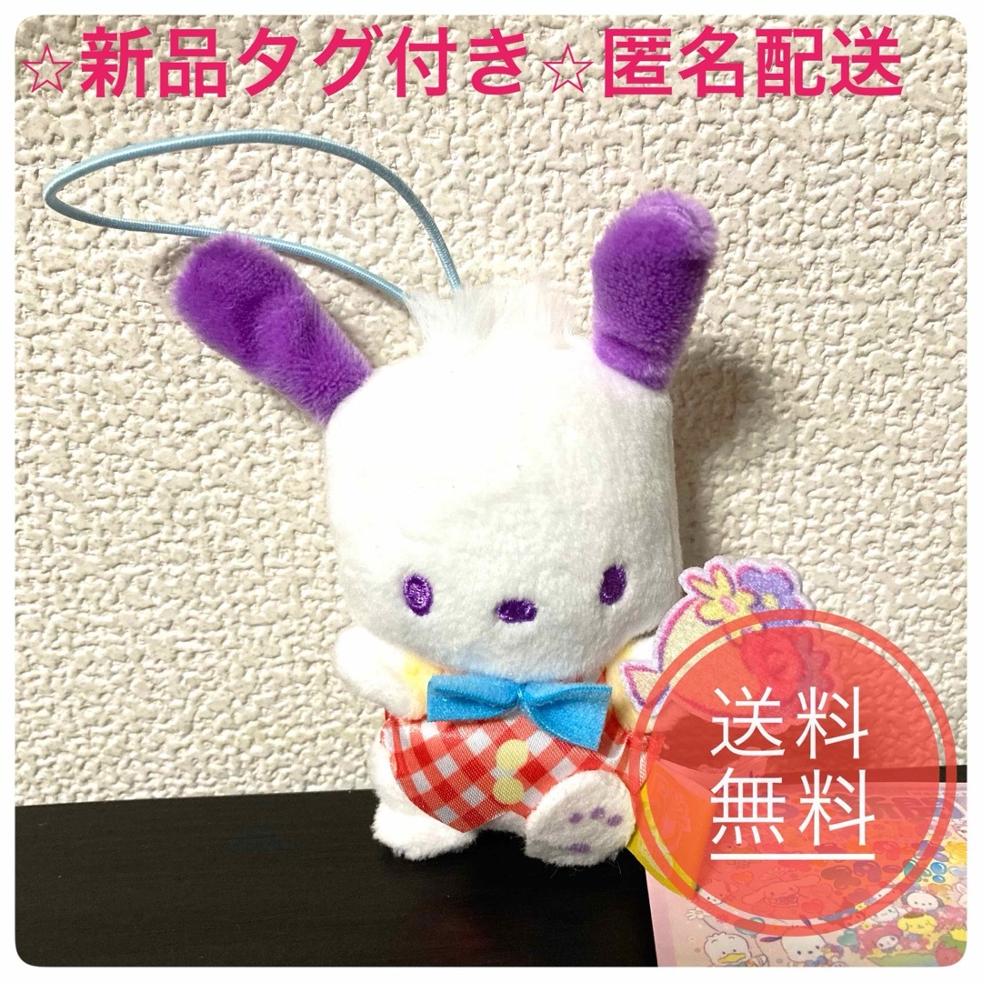 サンリオ - サンリオ ポチャッコ/いちご新聞651号 サンリオ - サンリオ ポチャッコ/いちご新聞651号