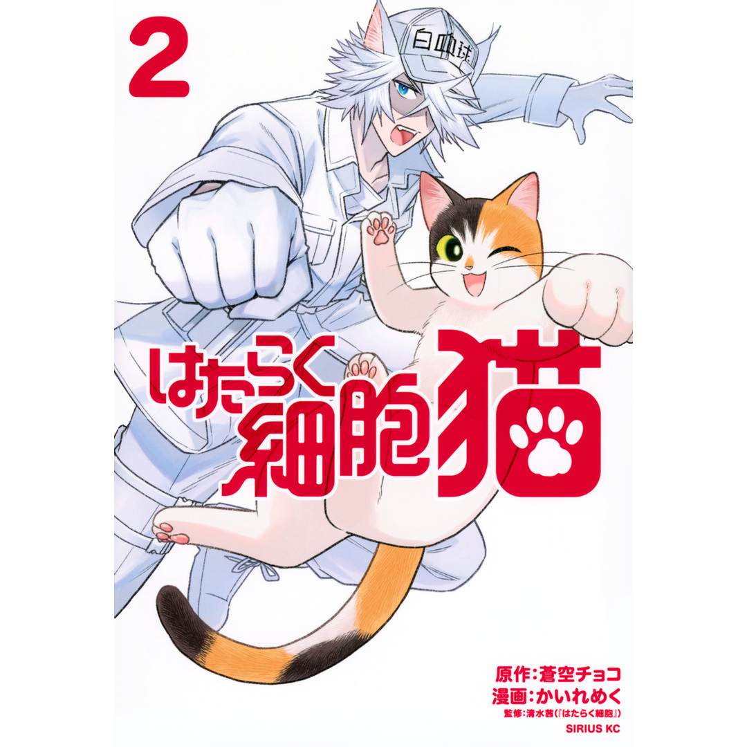 はたらく細胞猫 2/講談社/かいれめく(コミック) エンタメ/ホビーのエンタメ その他(その他)の商品写真