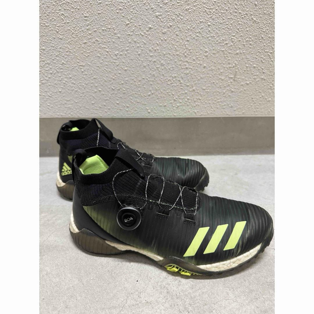 adidas - アディダス 26cm ゴルフシューズ コードカオス ボア adidas - アディダス 26cm ゴルフシューズ コードカオス ボア