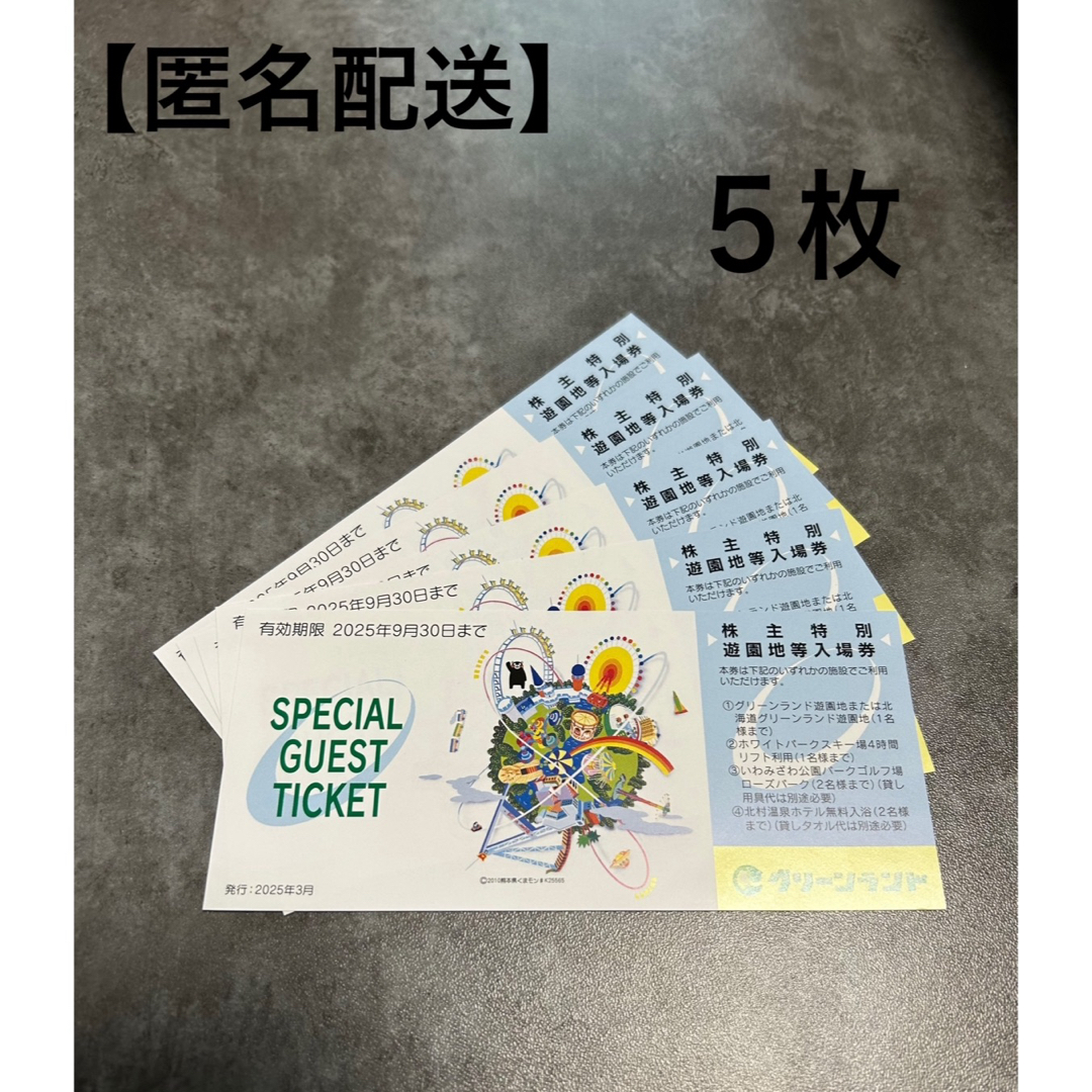 株主優待 グリーンランド 入場券(5枚) チケットの施設利用券(遊園地/テーマパーク)の商品写真