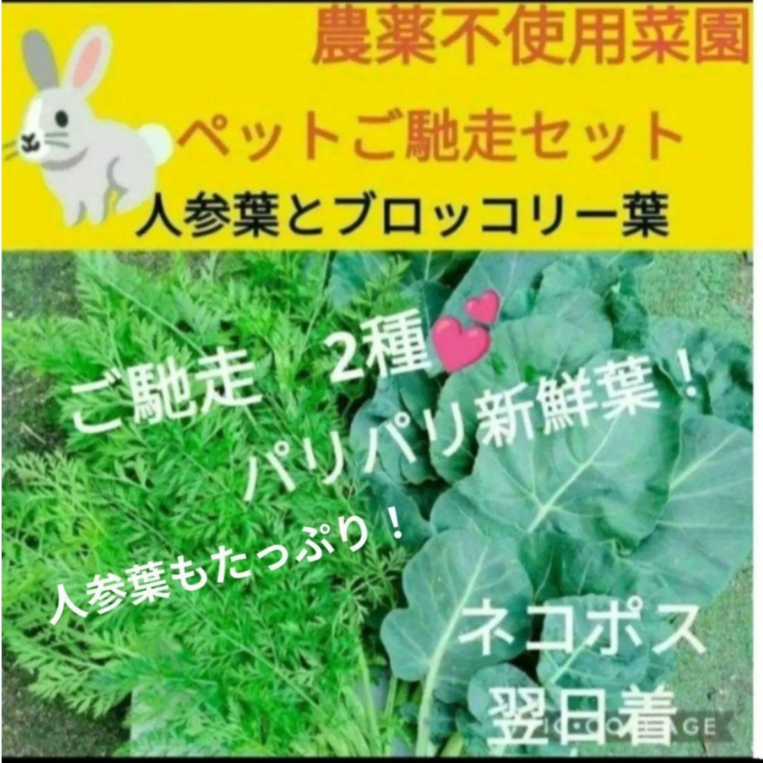 ブロッコリー葉と人参葉 100g その他のペット用品(小動物)の商品写真
