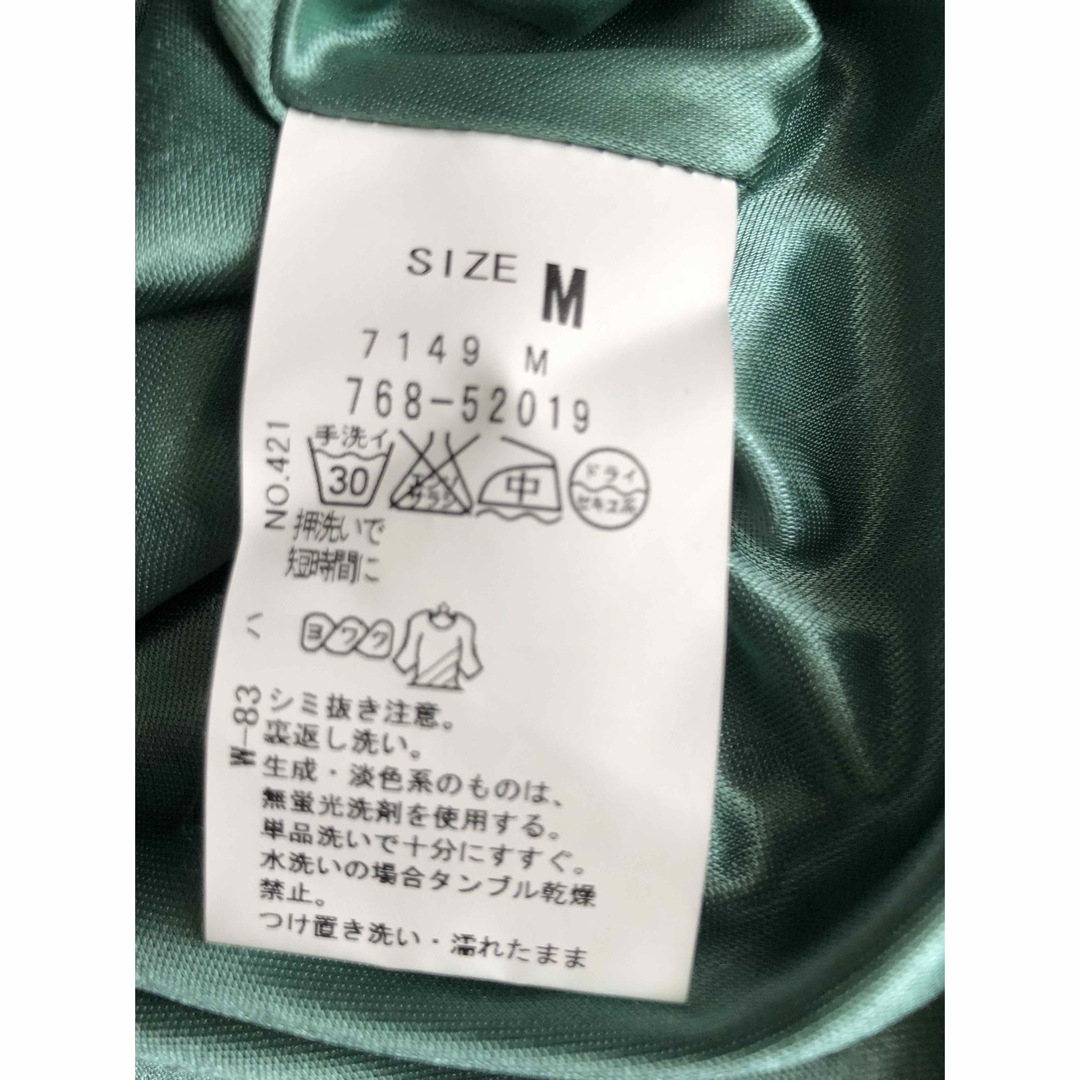grove(グローブ)のgrove グローブ チュニック M 長袖 グリーン系 ワールド レディースのトップス(チュニック)の商品写真