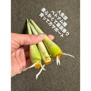 1297?2色印刷業者電卓、ブラック/レッド印刷、4線/ sec 1-Packの 1297?2色印刷業者電卓、ブラック/レッド印刷、4線/ sec 1-Packの