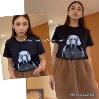 Max Mara - 今期 新品 MAX MARA ROSSO コットンジャージー T Max Mara - 今期 新品 MAX MARA ROSSO コットンジャージー T