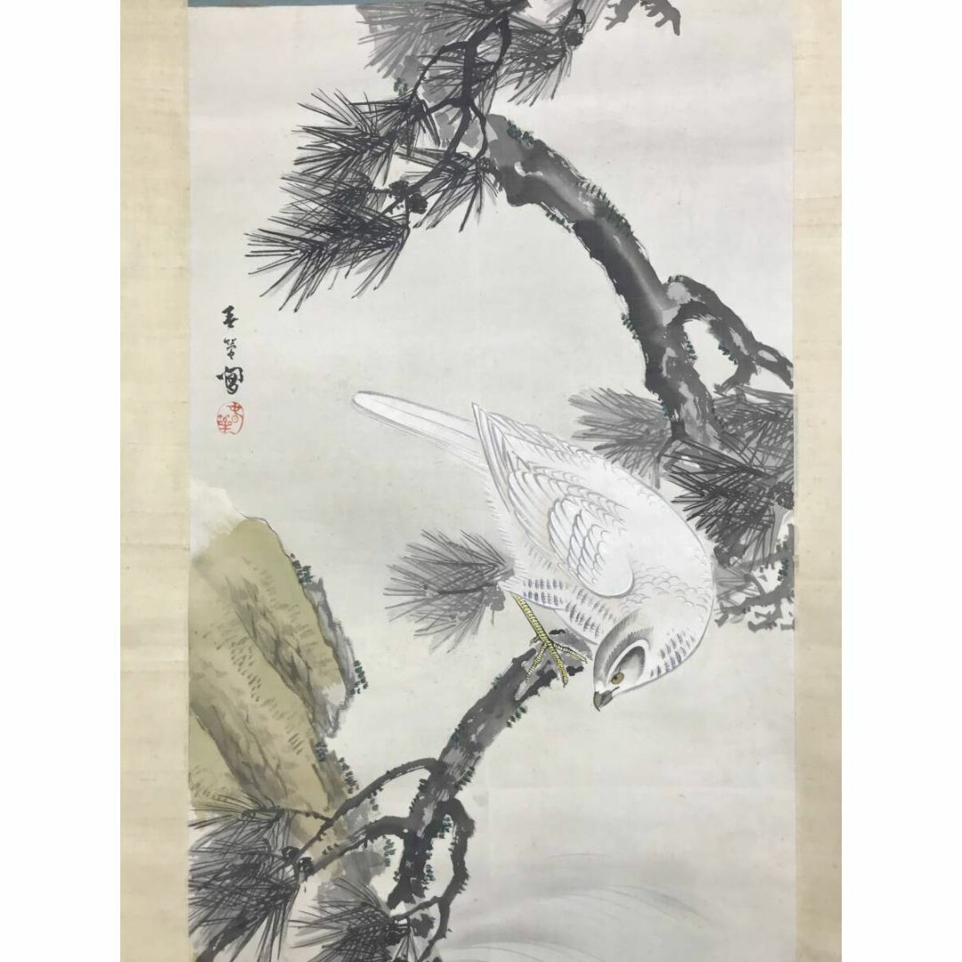 作者不詳/松鷹之図/白鷹図/タカ図/花鳥図/掛軸☆宝船☆AF-651の 作者不詳/松鷹之図/白鷹図/タカ図/花鳥図/掛軸☆宝船☆AF-651の