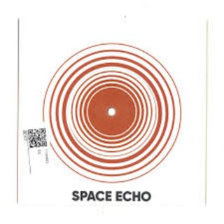 伊7” Agosta Living On My Memories / SERENADE SE707 SPACE ECHO /00080(その他)
