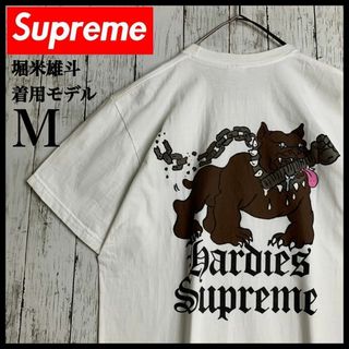 Supreme - 【堀米雄斗着用モデル】シュプリーム☆ビッグバック Supreme - 【堀米雄斗着用モデル】シュプリーム☆ビッグバック
