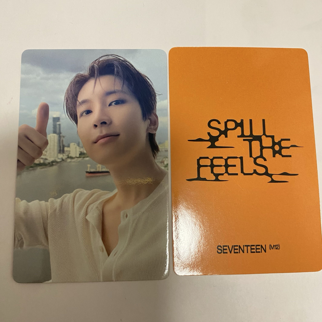 SEVENTEEN - SEVENTEEN SPILL THE FEELS 中華 yzy ウォヌの通販 SEVENTEEN - SEVENTEEN SPILL THE FEELS 中華 yzy ウォヌの通販