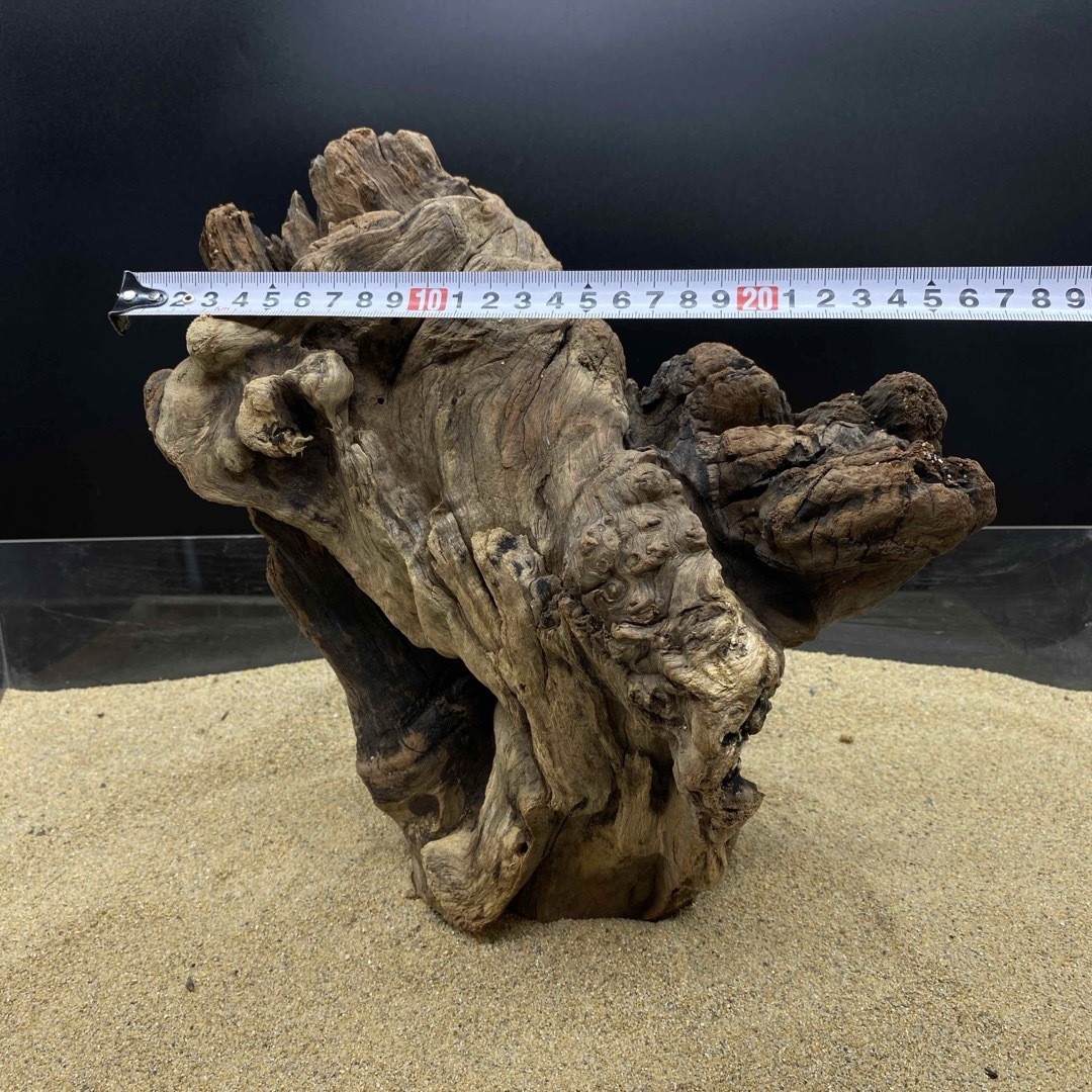 MRW-6188 赤系天然流木 1点物 自立流木 アクアリウム の通販 by MRW-6188 赤系天然流木 1点物 自立流木 アクアリウム の通販 by