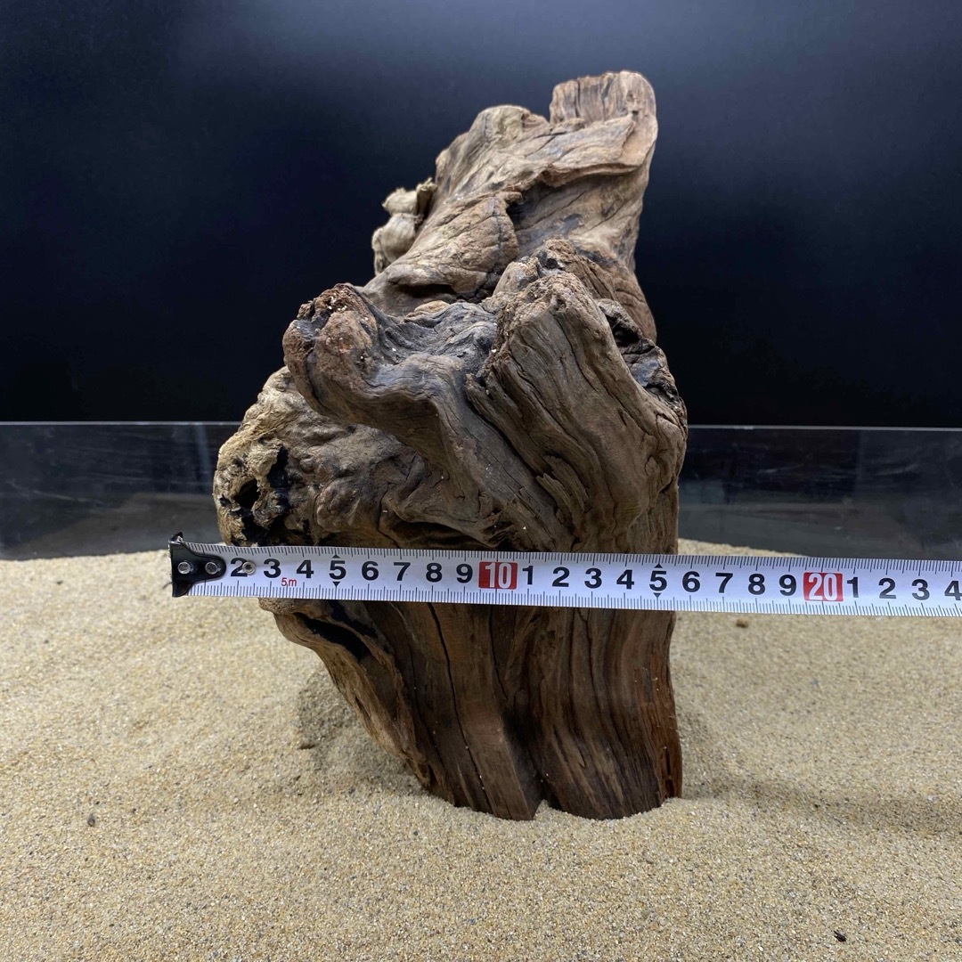MRW-6188 赤系天然流木 1点物 自立流木 アクアリウム の通販 by MRW-6188 赤系天然流木 1点物 自立流木 アクアリウム の通販 by