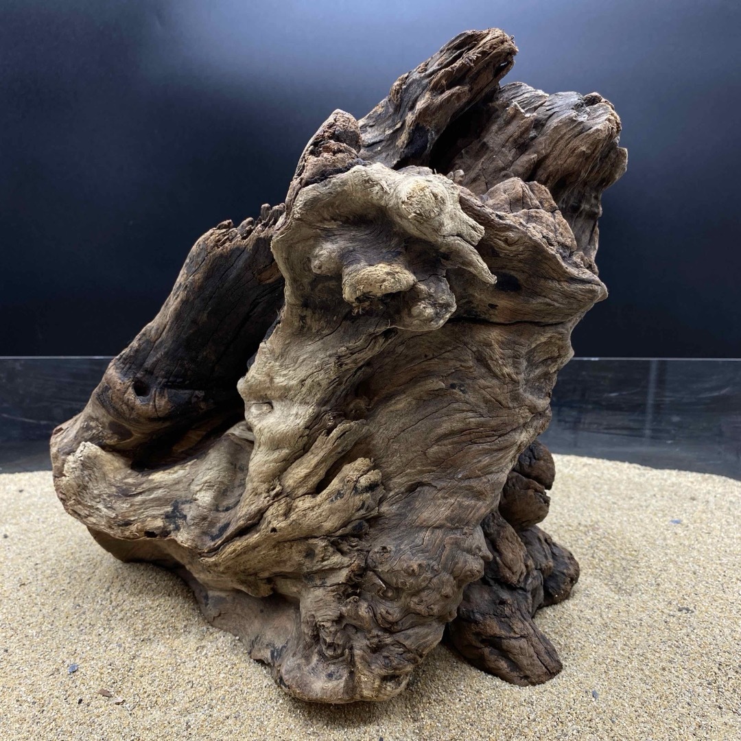MRW-6188 赤系天然流木 1点物 自立流木 アクアリウム の通販 by MRW-6188 赤系天然流木 1点物 自立流木 アクアリウム の通販 by