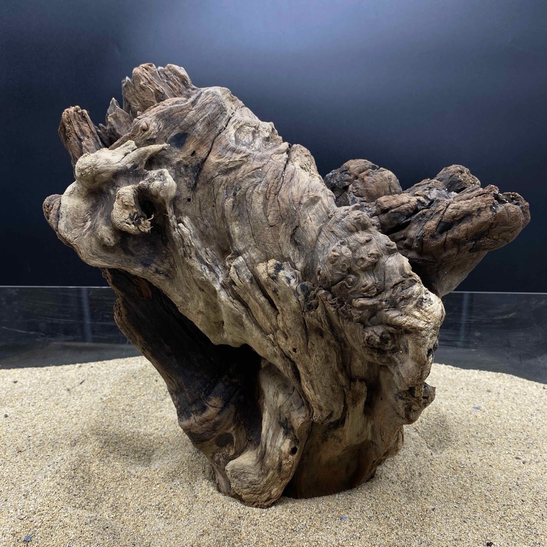 MRW-6188 赤系天然流木 1点物 自立流木 アクアリウム の通販 by MRW-6188 赤系天然流木 1点物 自立流木 アクアリウム の通販 by