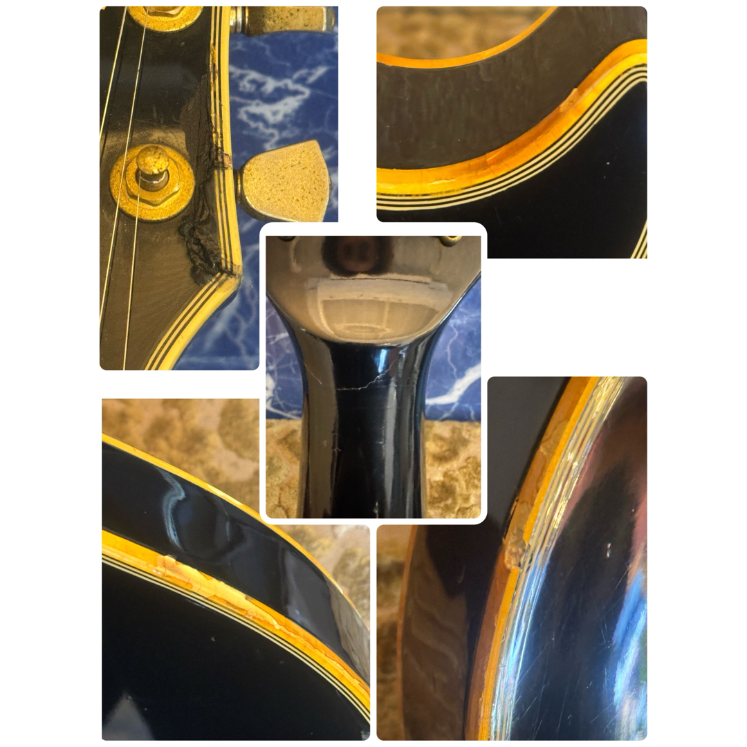 Greco - 希少⭐︎グレコレスポール ブラックビューティー 3PU Greco - 希少⭐︎グレコレスポール ブラックビューティー 3PU