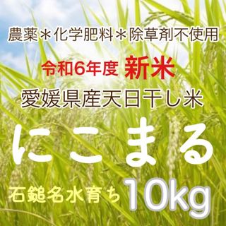 自然栽培の大粒米ダイヤ/農薬が栽培期間中不使用 玄米20kg 自然栽培の大粒米ダイヤ/農薬が栽培期間中不使用 玄米20kg
