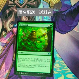 マジック:ザ・ギャザリング - ☆古えの墳墓 金枠 英語1枚の通販 マジック:ザ・ギャザリング - ☆古えの墳墓 金枠 英語1枚の通販