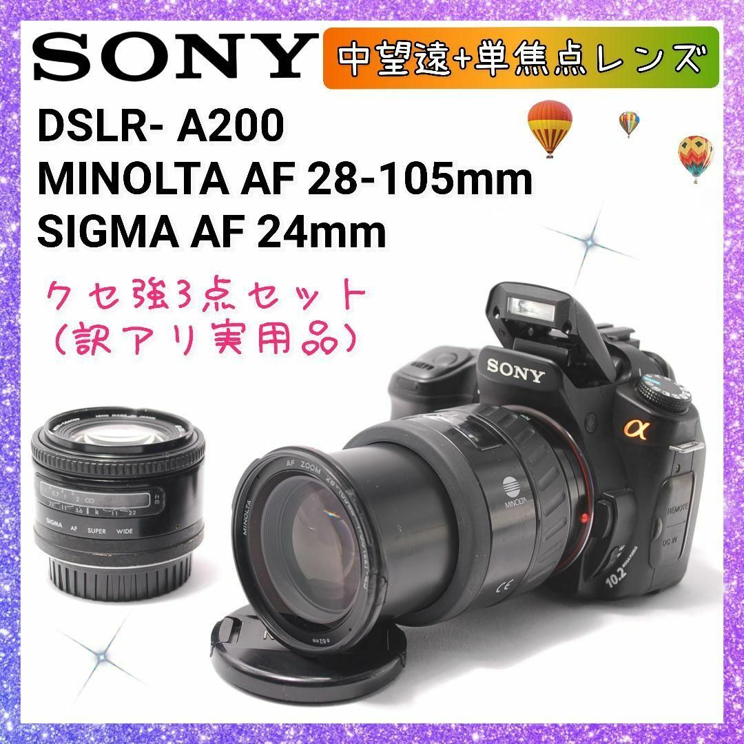 SONY - ❤即購入1000円OFF❤ソニー SONY α200 愛すべきクセ強め SONY - ❤即購入1000円OFF❤ソニー SONY α200 愛すべきクセ強め