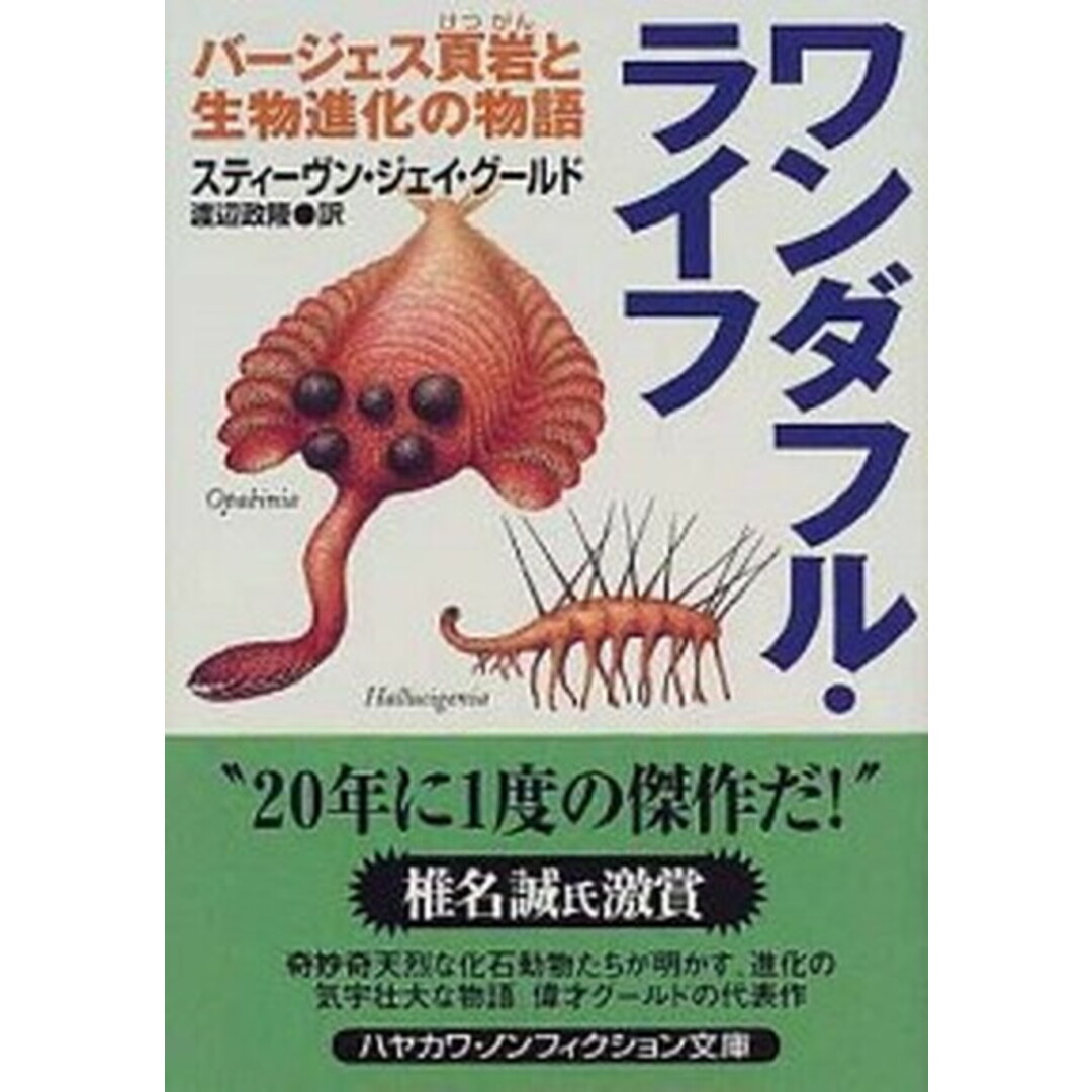 ワンダフル・ライフ バ-ジェス頁岩と生物進化の物語 /早川書房/スティ-ヴン・ジェ-・グ-ルド(文庫) エンタメ/ホビーのエンタメ その他(その他)の商品写真