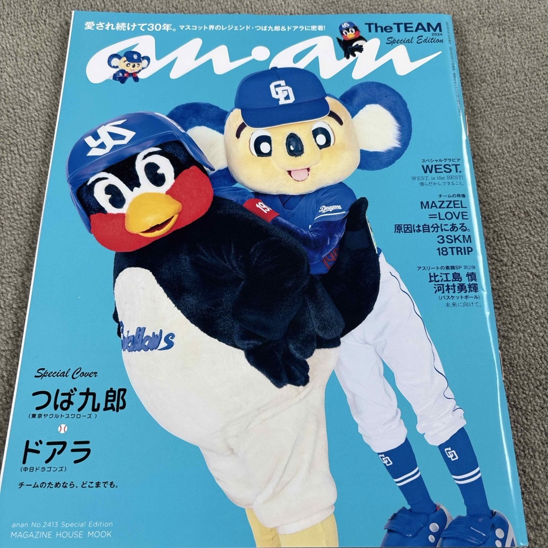 マガジンハウス(マガジンハウス)のanan special edition TheTEAM エンタメ/ホビーの本(ファッション/美容)の商品写真