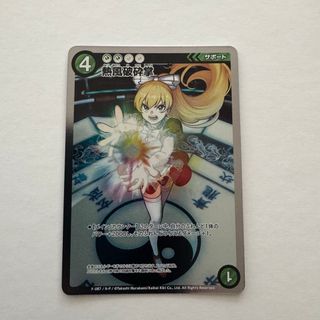 クイーンズブレイド ザ・デュエル レア星3 アルドラ ノック クイーンズブレイド ザ・デュエル レア星3 アルドラ ノック