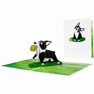 ポップアップカード　犬　ドッグ　立体　遊ぶ犬　誕生日　パーティー　ボストンテリア