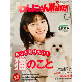 綾瀬はるか 雑誌切り抜き 6ページの通販 by a's shop|ラクマ 綾瀬はるか 雑誌切り抜き 6ページの通販 by a's shop|ラクマ