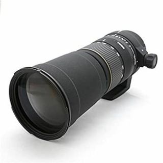 シグマ 170-500mm F5-6.3 APO  DG キヤノン用(レンズ(単焦点))