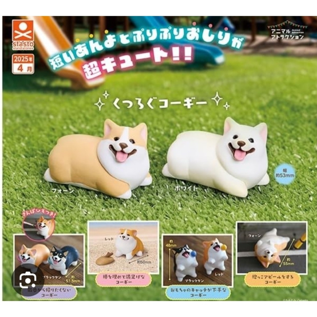 こぎさんぽ 全8種セット コンプリート ガチャ エンタメ/ホビーのおもちゃ/ぬいぐるみ(キャラクターグッズ)の商品写真